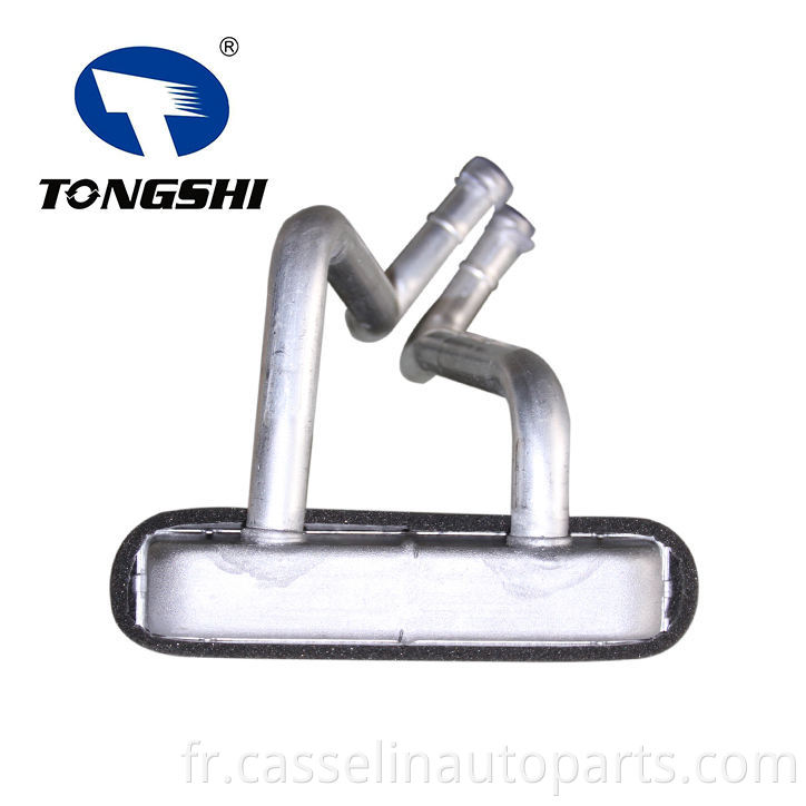 Core de chauffage de Tongshi de haute qualité pour le salon Kiashuma (96-01) OEM OK2A1.61.A10 pour voiture